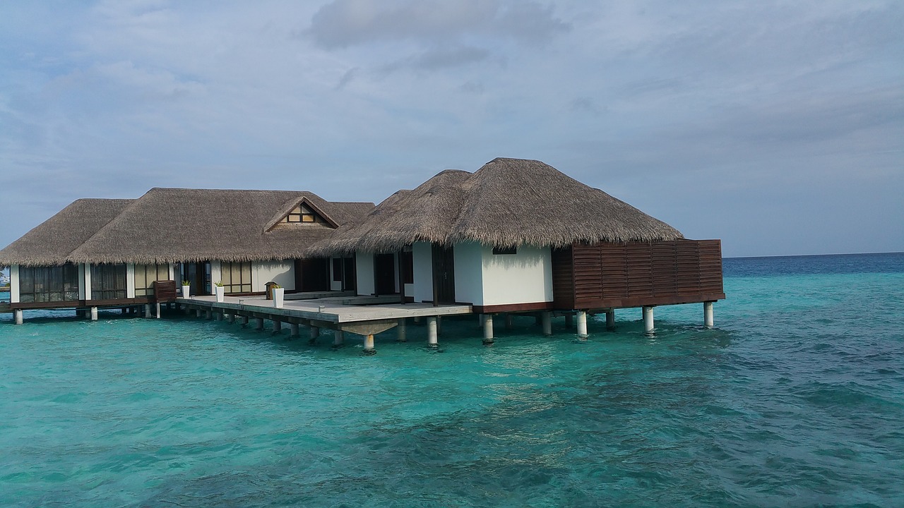 Canareef Resort Maldives detailed overview 2023